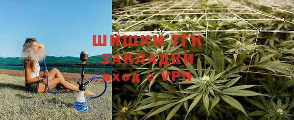 спиды Абинск