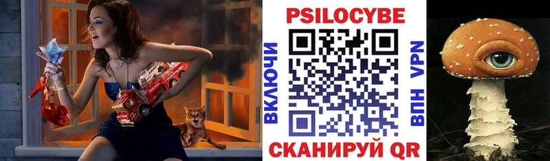 Галлюциногенные грибы Psilocybine cubensis площадка как зайти Саянск